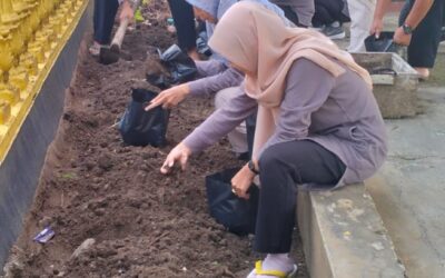 Gerakan Menanam Tanaman Di Desa “Gema Tandan Desa”